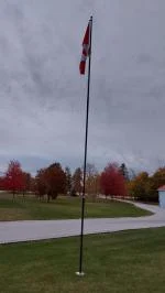 Flexes in wind 5