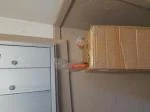 I received the two-pack I ordered, but this package arrived open. I hope nothing is missing; I have photos of how I found it. 5